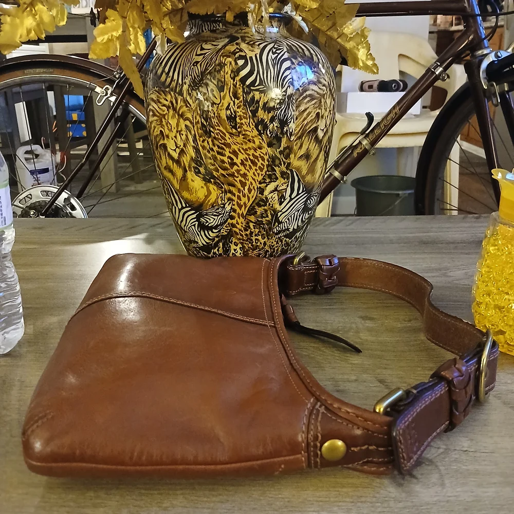 Coach stylish brown